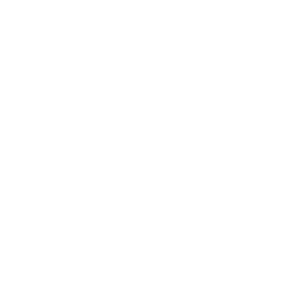 Lutz Consulting